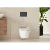 Geberit 115.119.14.1 Delta50 aktivirna tipka črna | Shoptok.si