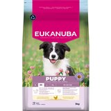 Eukanuba Premium Nutrition Puppy Medium Breed piletina - 2 x 15 kg | shoptok.hr