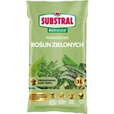Substral zemlja za zelene biljke 3 l sc 766 cene