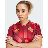 Adidas Dres 'Germany 25' rumena / rdeča / pastelno rdeča / temno rdeča | Shoptok.si