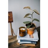Smells Like Spells Norse Magic Freyr dišeča sveča z lesenim stenjem (wealth/abundance) 200 g | Shoptok.si