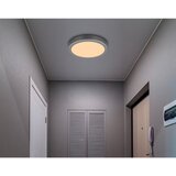 Globo LED stropna svjetiljka Doro (Ø x V: 300 cm x 60 mm, 12 W, Srebrna, Bijela, Topla bijela, Okrugla) | shoptok.hr