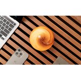 Gingko LED stolna lampa u tamnoj prirodnoj boji sa staklenim sjenilom (visina 13 cm) Sand Storm – | shoptok.hr