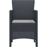  Vrtna stolica Set od 2 Antracit svijetlosiva | shoptok.hr