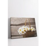 WALLXPERT Dekorativna slika Ersyfdc19 50 x 70 | Eponuda.com