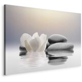  Slika - Garden of Calm 120x80 | shoptok.hr
