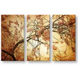  Slike na platnu cveće | ePonuda.com