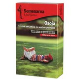 Semenarna sjeme trave za sjenovite položaje osoja (1 kg, 40 m²) | shoptok.hr