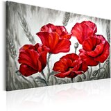  Slika - Poppies in Wheat 120x80 Cijene