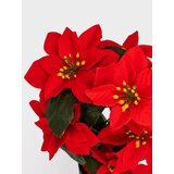 Sinsay DECORATIVE PLANT | shoptok.hr