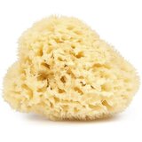 Najel Prirodna spužva - Pakirano - Ø 9-10 cm | shoptok.hr