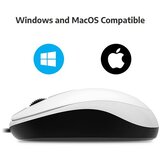 Genius ŽIČNA MIŠKA DX-110 | Shoptok.si