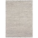 Universal Svijetlo sivi tepih 160x230 cm Atesa – Cijene
