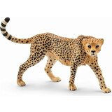  Wild Life Cheetah | shoptok.hr