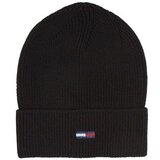 Tommy Hilfiger AW0AW15474BDS Crna Cijene