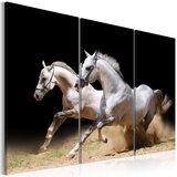  Slika - Horses- power and velocity 60x40 Cijene