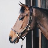 Kentucky Horsewear Usnjena oglavka "Anatomic" Cob - rjava | Shoptok.si