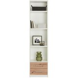 Modern Living Regal Young, Bela, Barva Hrasta | Shoptok.si