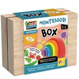 Lisciani Montessori kutija čulo vida | Eponuda.ba