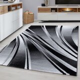 Ayyildiz Carpets Temno siva preproga 200x290 cm Parma – | Shoptok.si