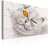 Slika - Grey Cat 90x60 | shoptok.hr