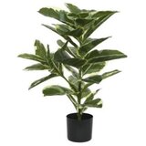 Ambia Home UMETNA RASTLINA 61/76 cm Cene
