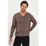 Lafaba Men's Brown V-Neck Basic Knitwear Sweater