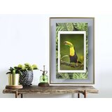  Poster - Toucan in the Frame 20x30 | shoptok.hr