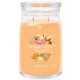 Yankee Candle Mango Ice Cream mirisna svijeća Signature 567 g | shoptok.hr