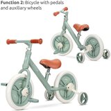 Lorelli bicikl 2u1 Energy 2u1, Blue | shoptok.hr