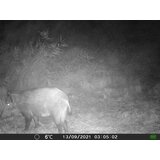 OXE Lovska kamera Gepard II, lovski detektor in sončna plošča + 32GB kartica SD in 6 baterij! | Shoptok.si