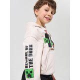 Sinsay Hoodie s tiskom Minecraft | shoptok.hr