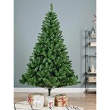 Imperial Pine 300cm Everlands 68.0315 Cene