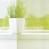 vidaXL Voile zavese z vponkami 2 kosa jabolčno zelene barve 140x175 cm | Shoptok.si