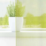 vidaXL Voile zavjese s ušicama 2 kom jabučno zelena 140x175 cm | shoptok.hr