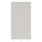 vidaXL Plisirana roleta svijetlosiva 105x200 cm širina tkanine 104,4cm
