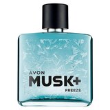 Avon Musk Freeze toaletna voda za muškarce 75 ml | shoptok.hr