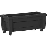 saksija s kotačima Antracit 79 x 35 x 33 cm PP