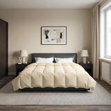  Poletna odeja Šonerisan krema 220 x 260 cm Mikrovlakna, (5000284428) | Shoptok.si