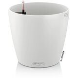 LECHUZA Okrasni lonec Classico Color 18 - Bela | Shoptok.si
