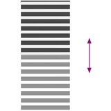 vidaXL idaXL Zebra senčilo črna 110x200 cm tkanina širina 105,9 cm poliester | Shoptok.si