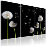  Slika - Dandelions family 60x40 Cijene