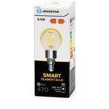 Aigostar led prigušiva filament sijalica G45 E14/4,5W/230V 2700-6500K wi-fi | Eponuda.com