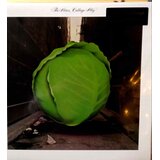  Meters-Cabbage Alley + 2 | Eponuda.com