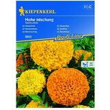 KIEPENKERL Sjeme cvijeća Kadifica Visoki Mix (Tagetes patula, Raznobojno) | shoptok.hr