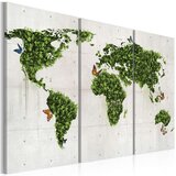  Slika - Green land of butterflies - triptych 120x80 Cijene