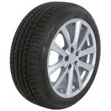 wintercontact ts 870 p ( 205/55 R17 91H )