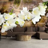 Tapeta - Freesia on Wood 150x105 Cijene