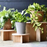 Esschert Design Bambusov stalak za tegle za cvijeće ø 18 cm – | shoptok.hr