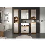 MID.YOU kopalnica scout, barva hrasta, kašmir, osvetlitev, 5-Delna | Shoptok.si